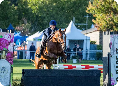 Screenshot 2025-03-05 at 12.50.58 PM 1